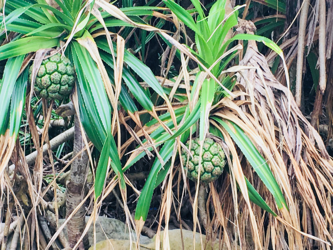 找回了年轻时的自己,给自己放个假去找回曾经的自己