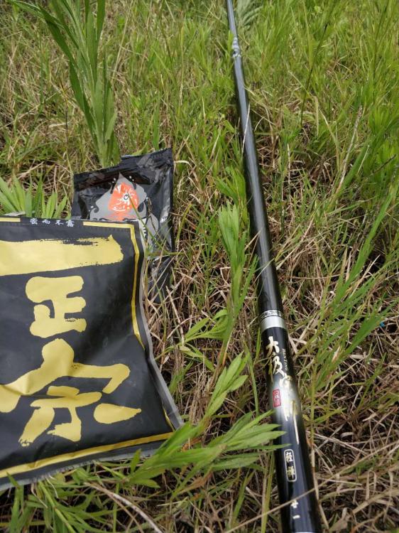 新手选鱼竿怎么选,新手怎么选鱼竿最合适