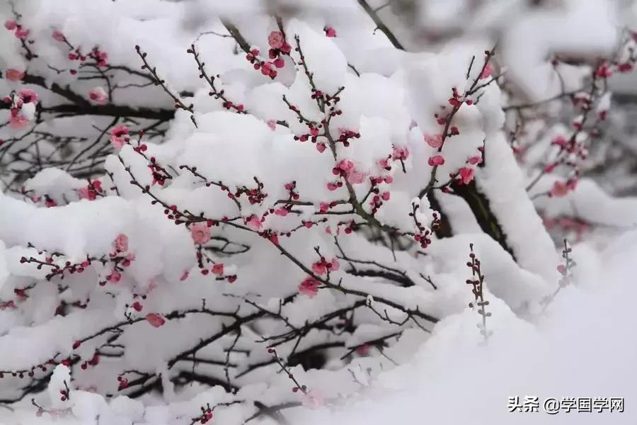中小学必背的180首古诗,100首古诗小学生必背诗词