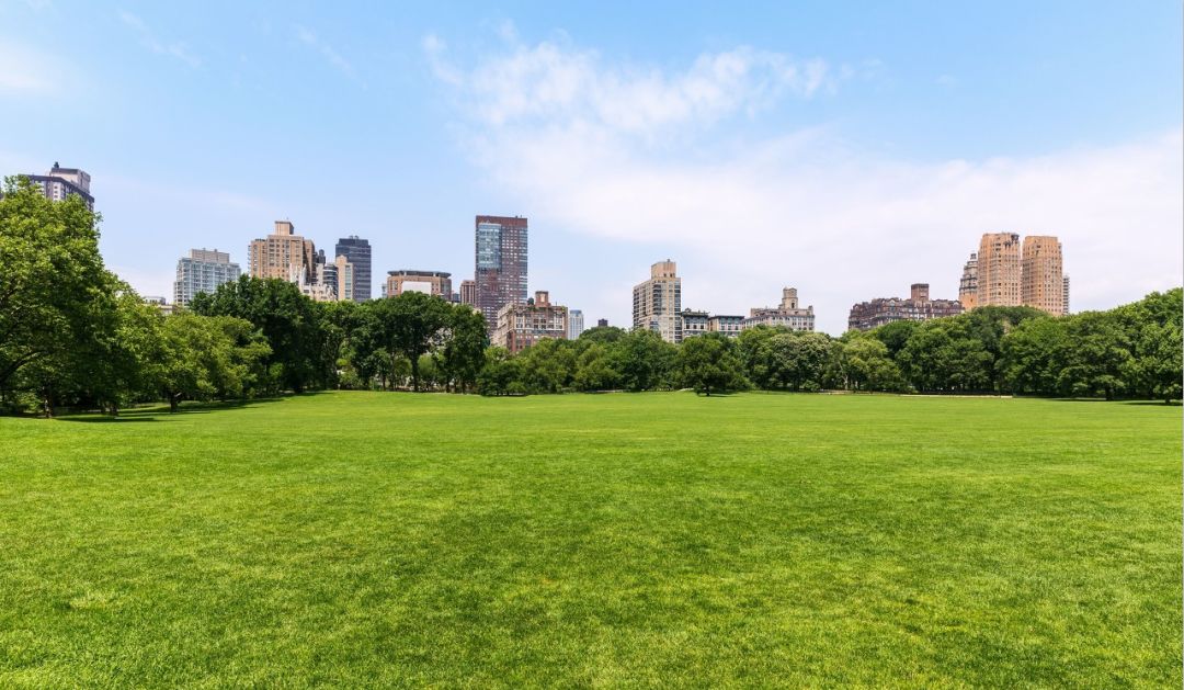 2万+投资！木塔寨旁，综合体，LOFT值得考虑吗