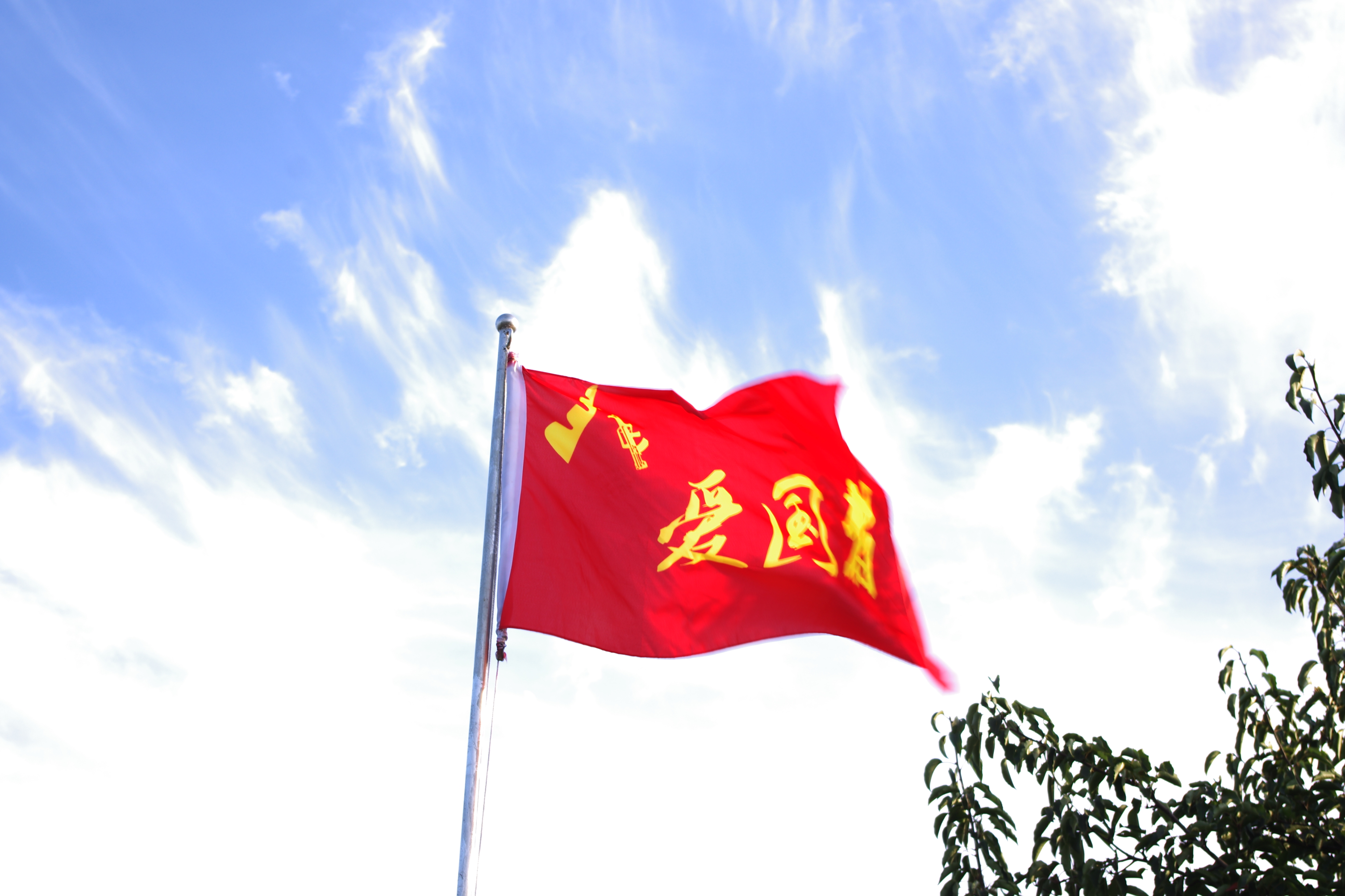 真人cs俱乐部注册流程,真游戏假游戏的案例