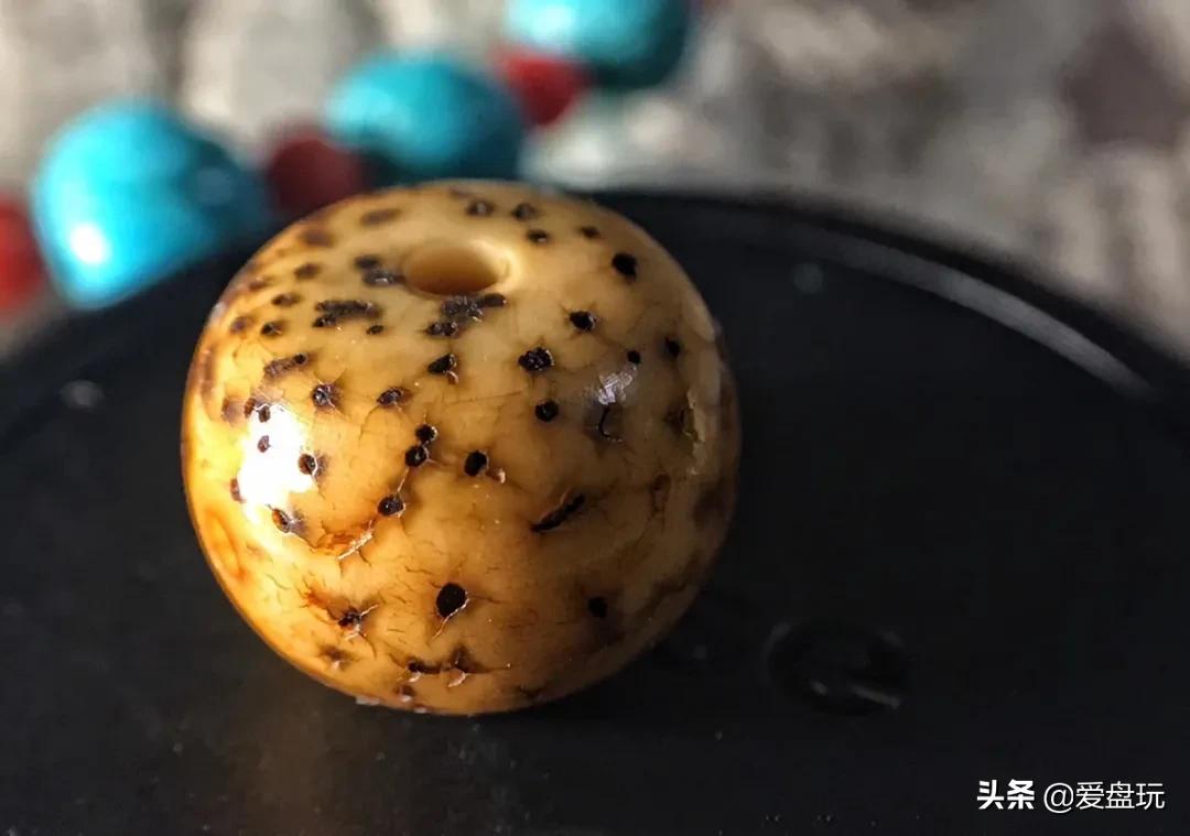 星月盘多久可开片,星月盘了几年都不开片