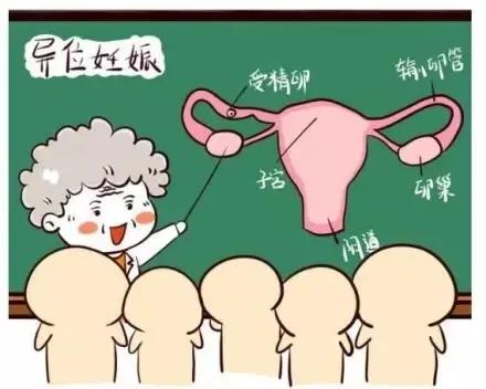 我没有*生活性**，哪来的妇科病？