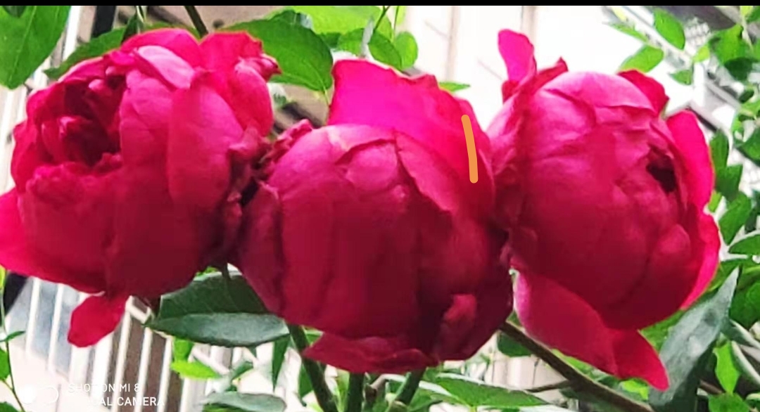 地利生鲜关店,地利生鲜关门时间