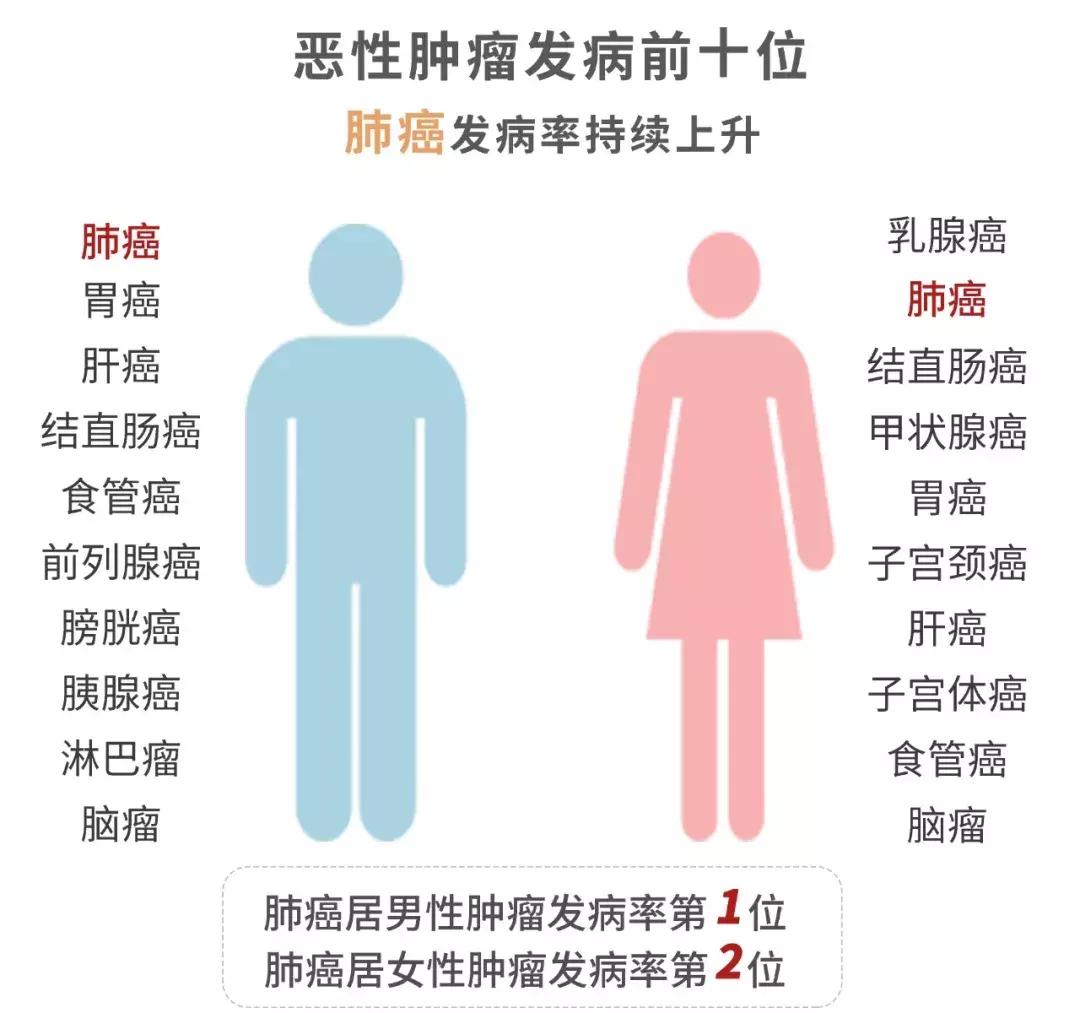 中华烟一年纳税多少钱,中华烟的成本和税收