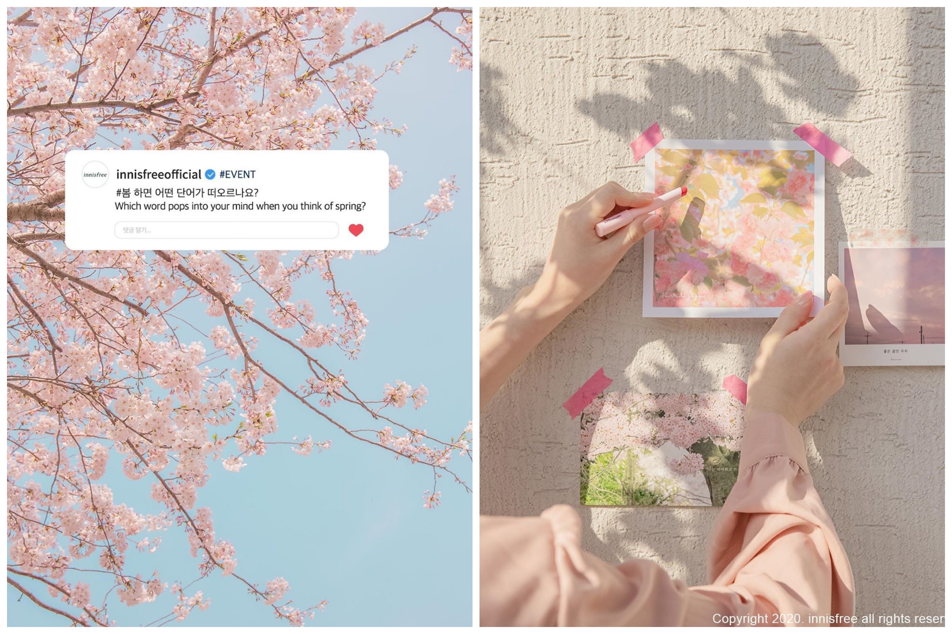 春日樱花限定合集,樱花季限定款好物盘点