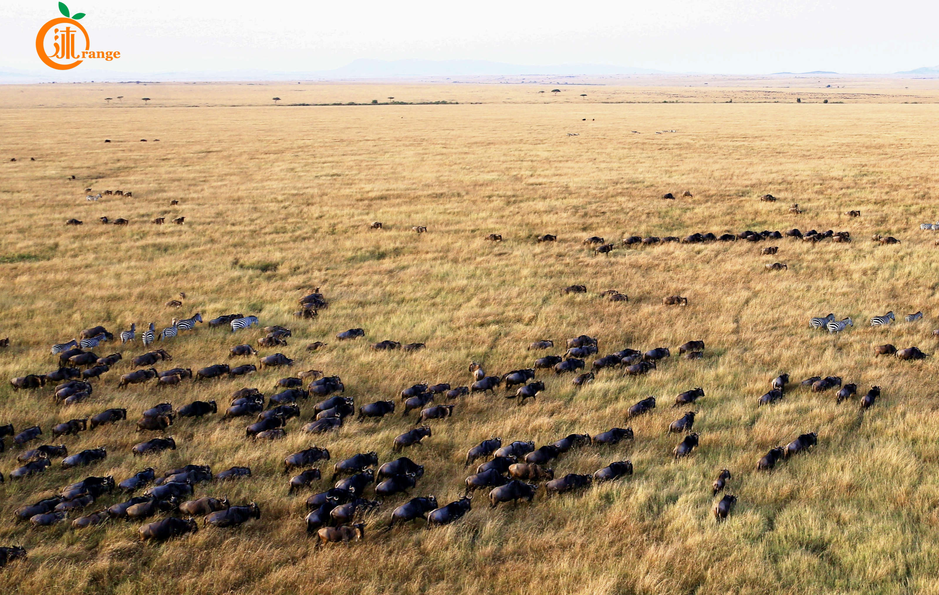世界最昂贵的热气球在哪儿,热气球最贵多少钱