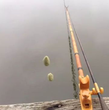 钓竿怎么选购合适,怎么购买合适的钓竿