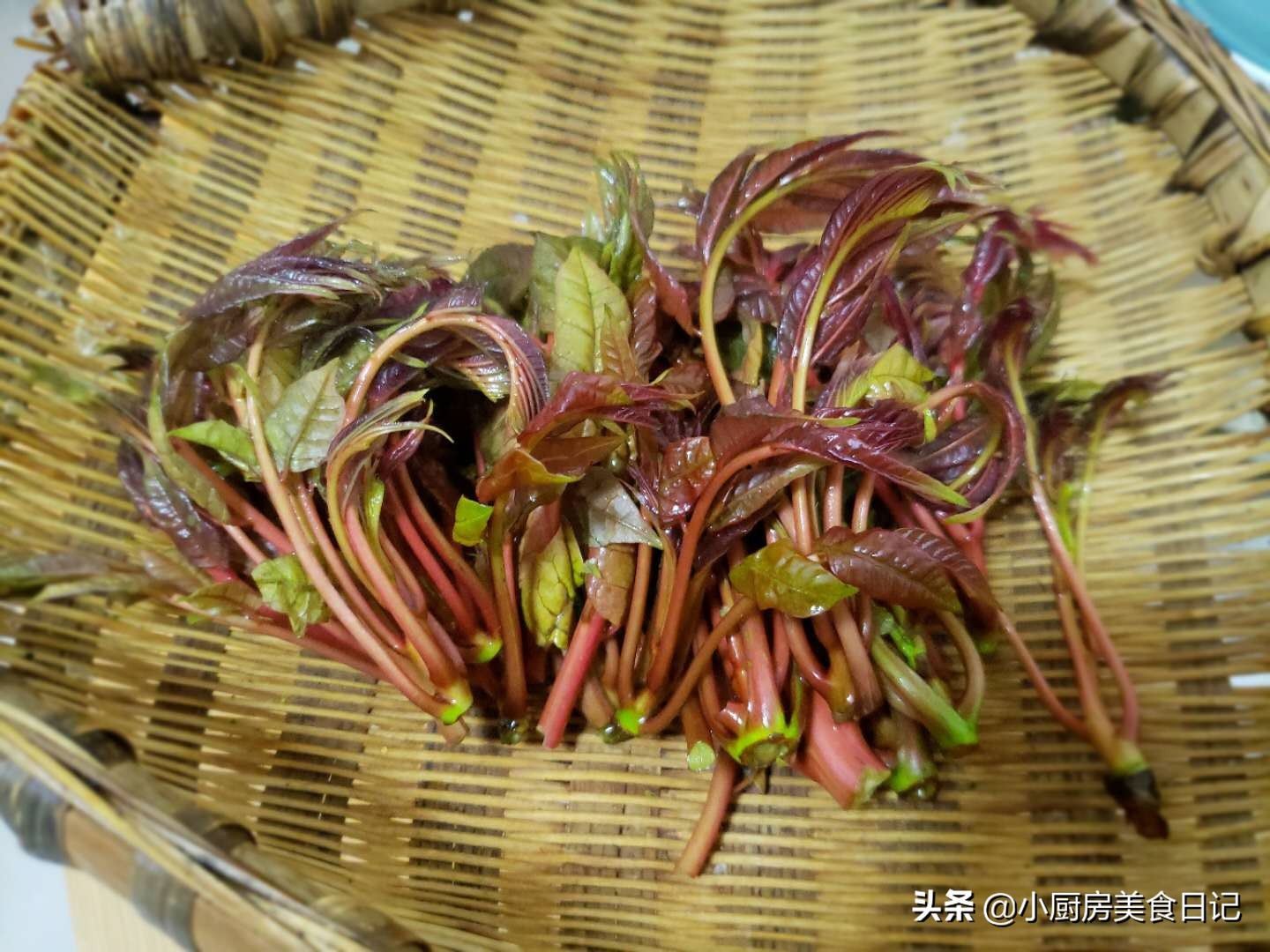 香椿有多少个吃法和用处,香椿为什么这么多人喜欢吃