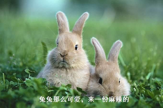 瀛曟湡杩蜂俊绂佸繉澶у叏,1-3涓湀瀛曞绂佸繉杩蜂俊