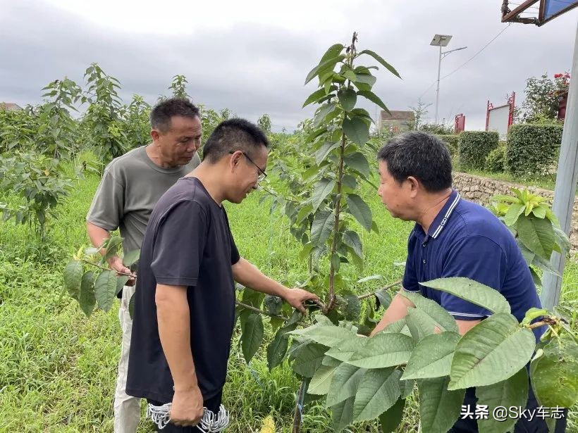 7万公里老款宝马x5,宝马x5的优缺点