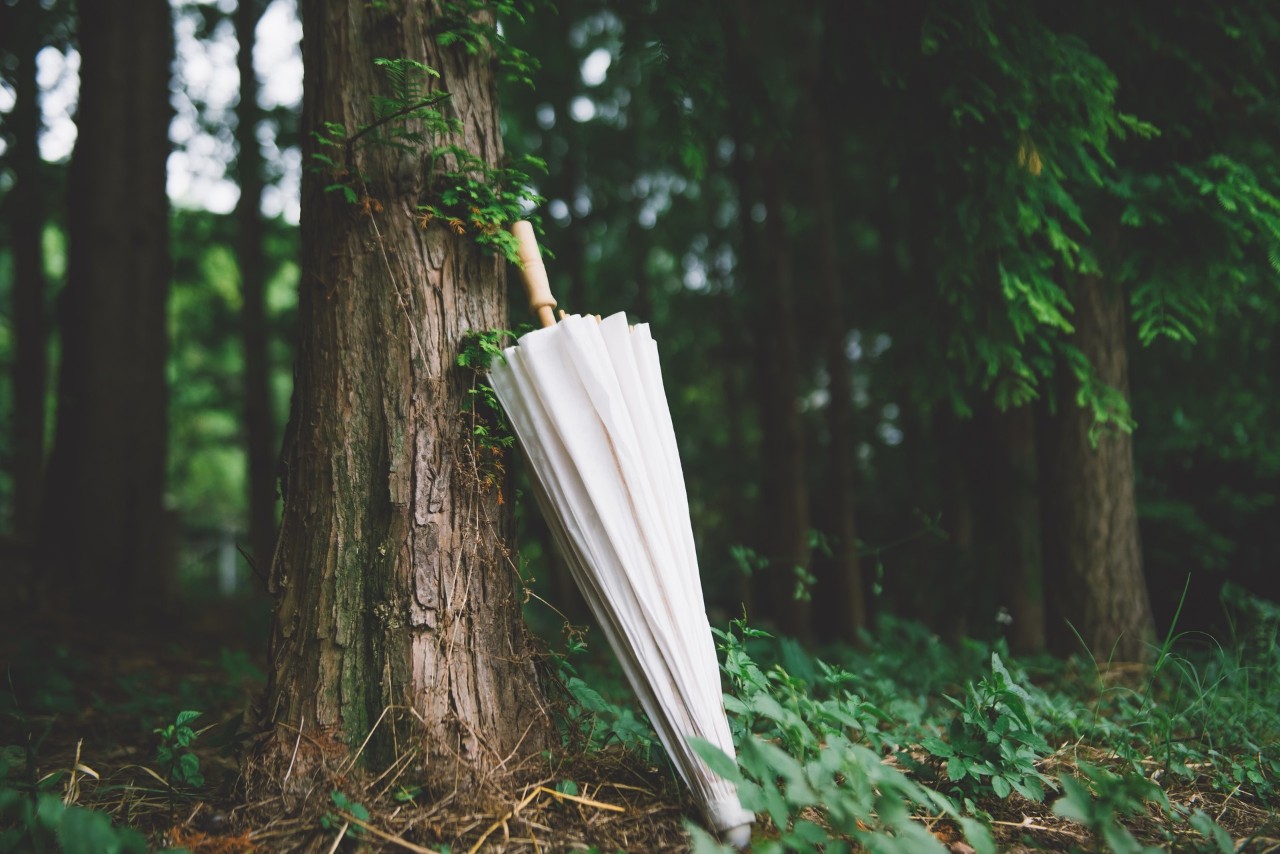 宋词最深情的十句最有名的诗句,十句最深情的诗词古文