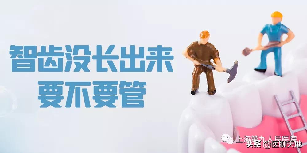 医生说智齿不用拔,医生说智齿长得没问题