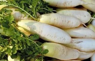 鼻干喉痒、咳嗽、头皮屑多...照着吃，整个秋冬不干不燥不生病