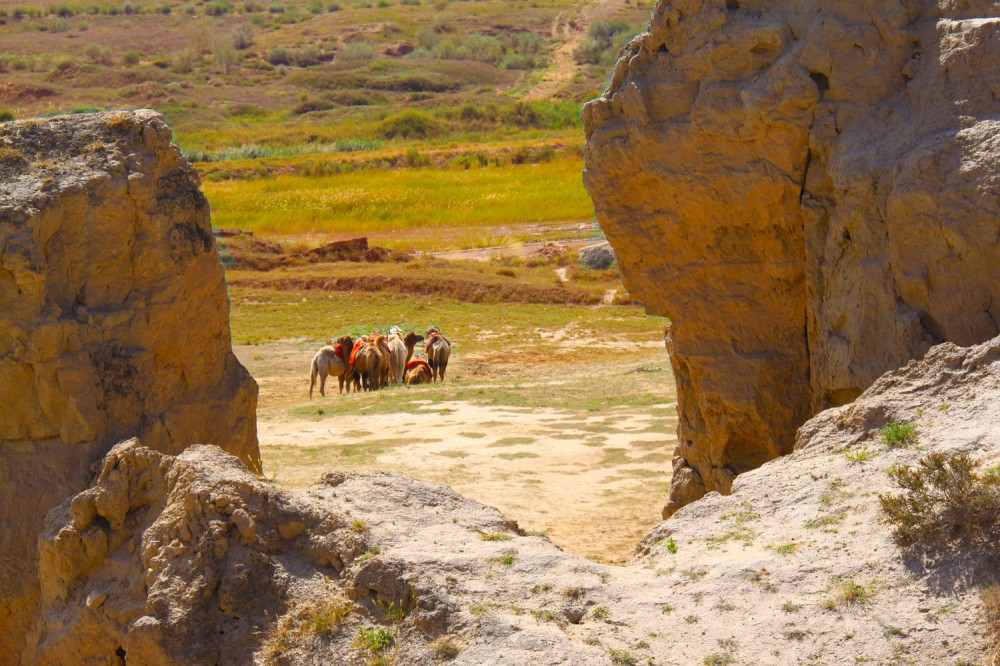宁夏到底好不好玩,宁夏很美的城市