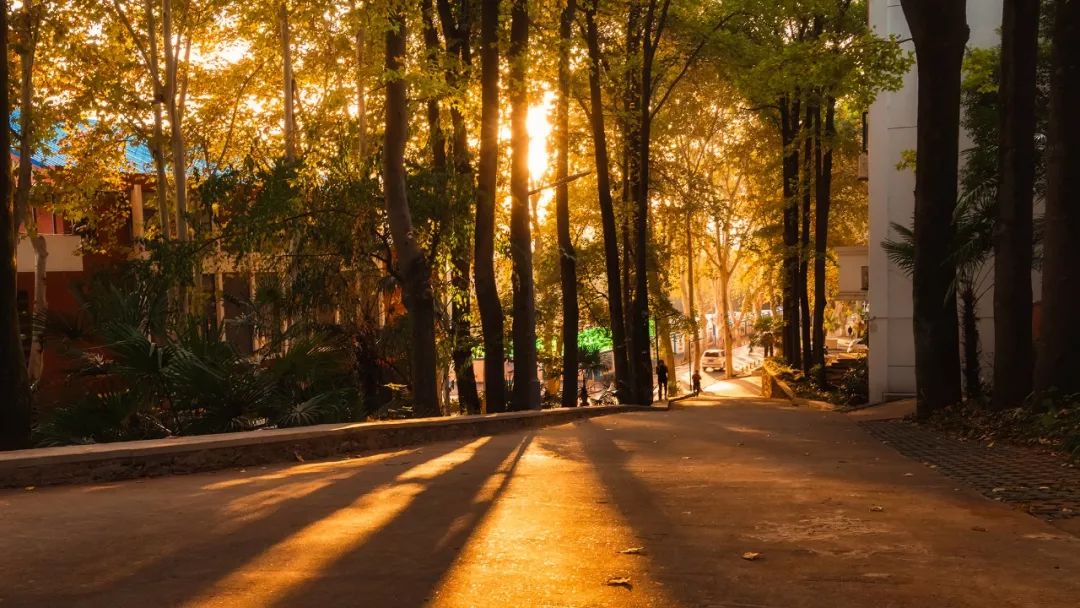 中国最美的大学武汉大学,最美的武汉大学