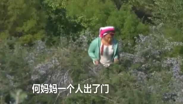 变形计富二代给农村父母钱,变形计富二代女孩买鞋