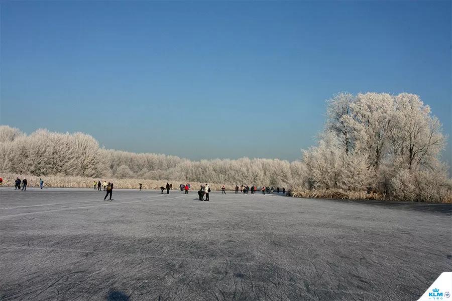 荷兰人滑冰,荷兰人去加拿大工作