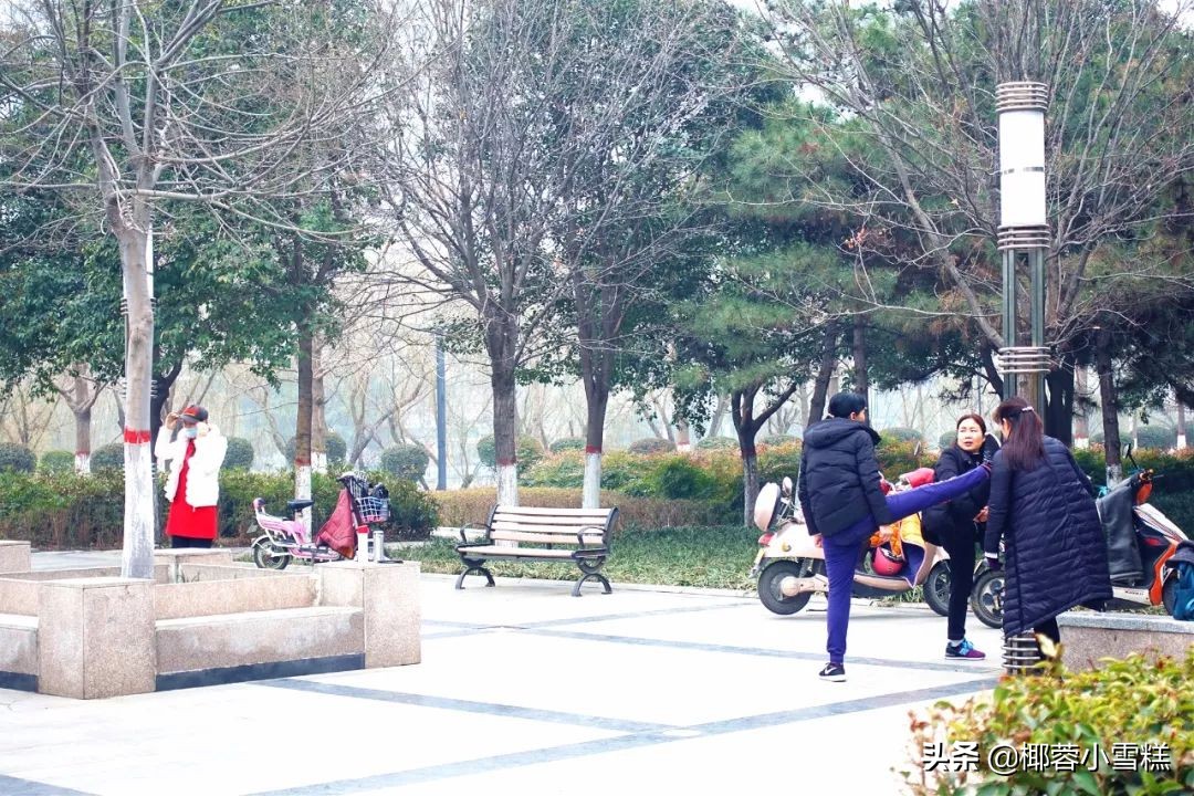 郑州适合晨跑的地方,郑州晨跑圣地