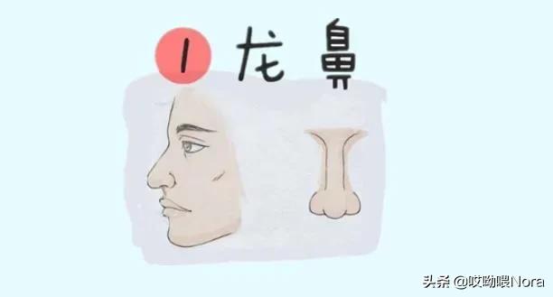 最自然的小翘鼻,鼻综合小翘鼻图片