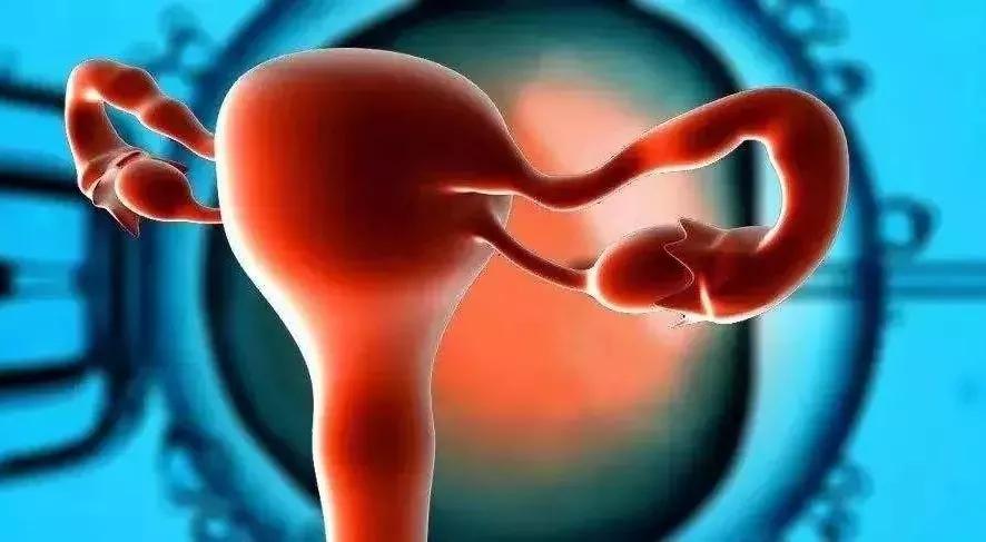 卵巢amh值年龄对照表,你的卵巢还好吗卵巢最怕这5件事