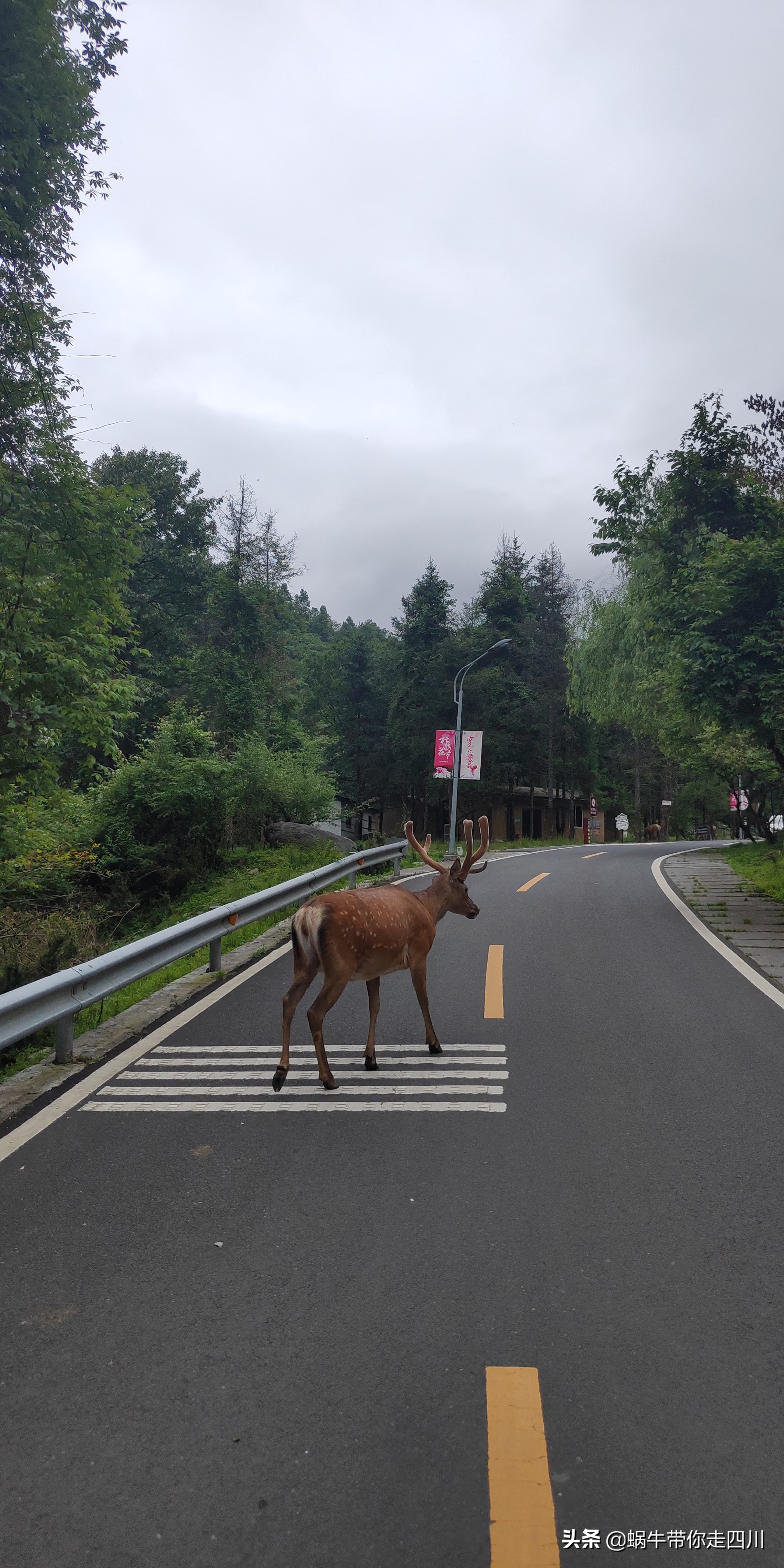 成都到西藏旅游一家三口,成都出发三天两夜旅行套票