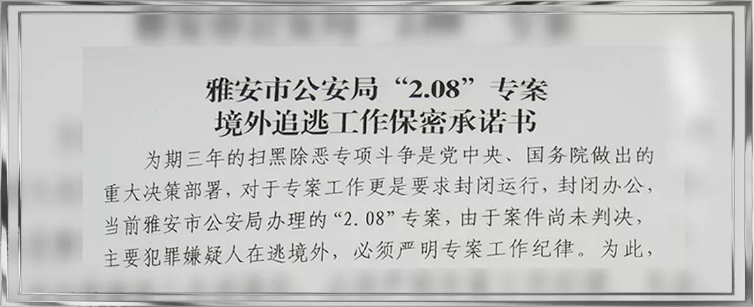 公安局长是黑老大电视剧,公安局长是黑老大的电视剧