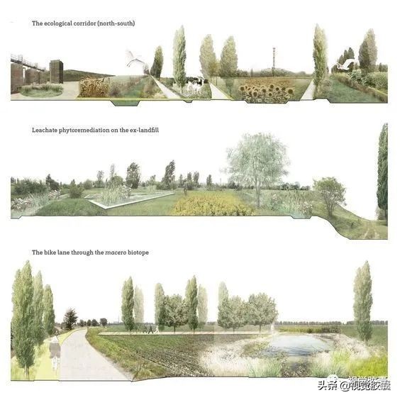 不去用模型树,你根本不知道它有多“香”?