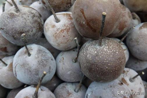 辽宁省大连知名农产品,辽宁省农产品地理标志产品都有啥