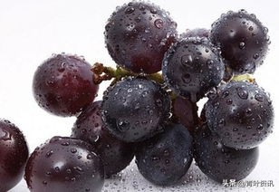 吃中药为什么不能吃酸的食物,吃治抑郁症的中药不能吃什么食物