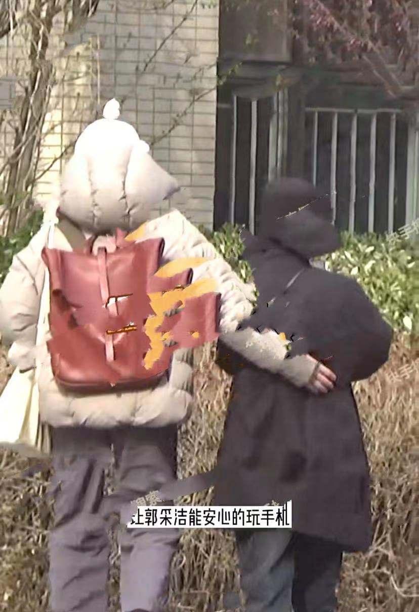 年轻时期的郭采洁,郭采洁的理想型