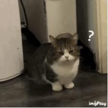 空管唇膏,空管唇膏系列