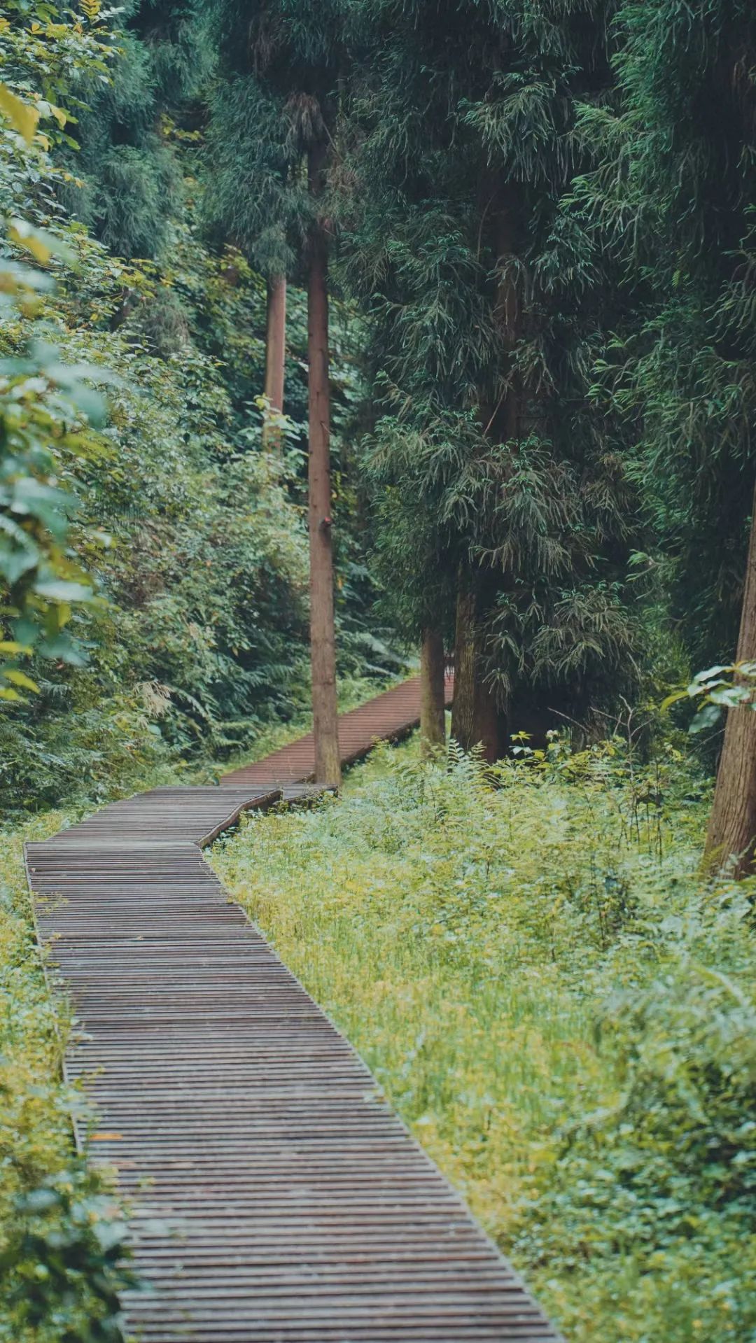 国庆成都周边旅游攻略推荐,成都周边旅游国庆2-3天推荐地方