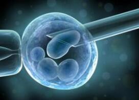 试管婴儿常识知识,准备做试管婴儿你知道流程步骤吗