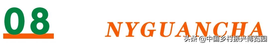 乡村振兴产业方面存在的问题,乡村振兴最有前景九大产业