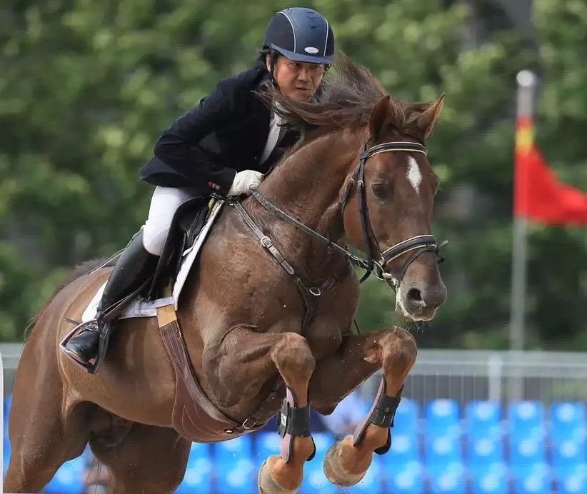 采访朴树完整版歌词,采访朴树唱的歌