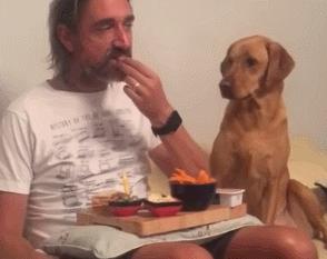 人狗大战电影免费观看,第一次人机大战视频