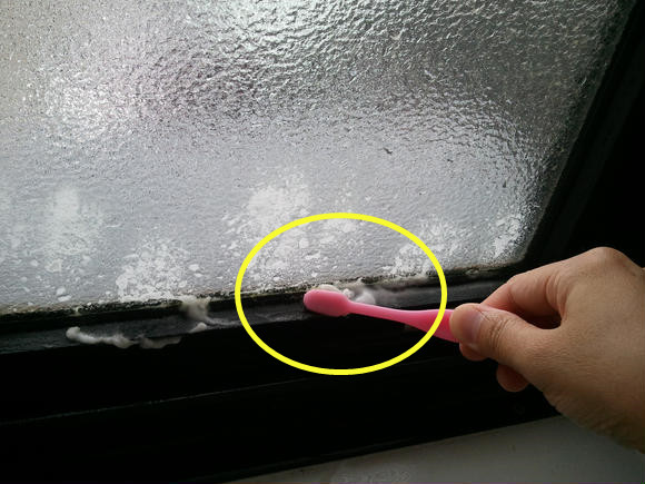 浴室砖缝霉菌怎么清除,浴室窗霉菌怎么消灭