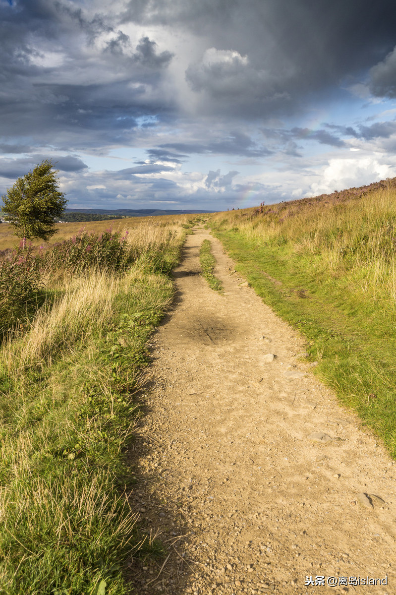 呼啸山庄艾米莉勃朗特诞辰200周年,艾米莉勃朗特在哪创作了呼啸山庄