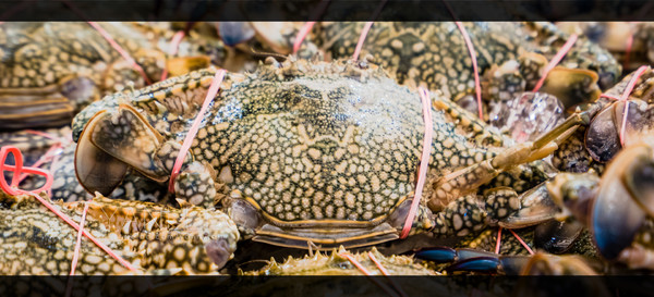 深度玩转泰国攻略,泰国游国际漫游