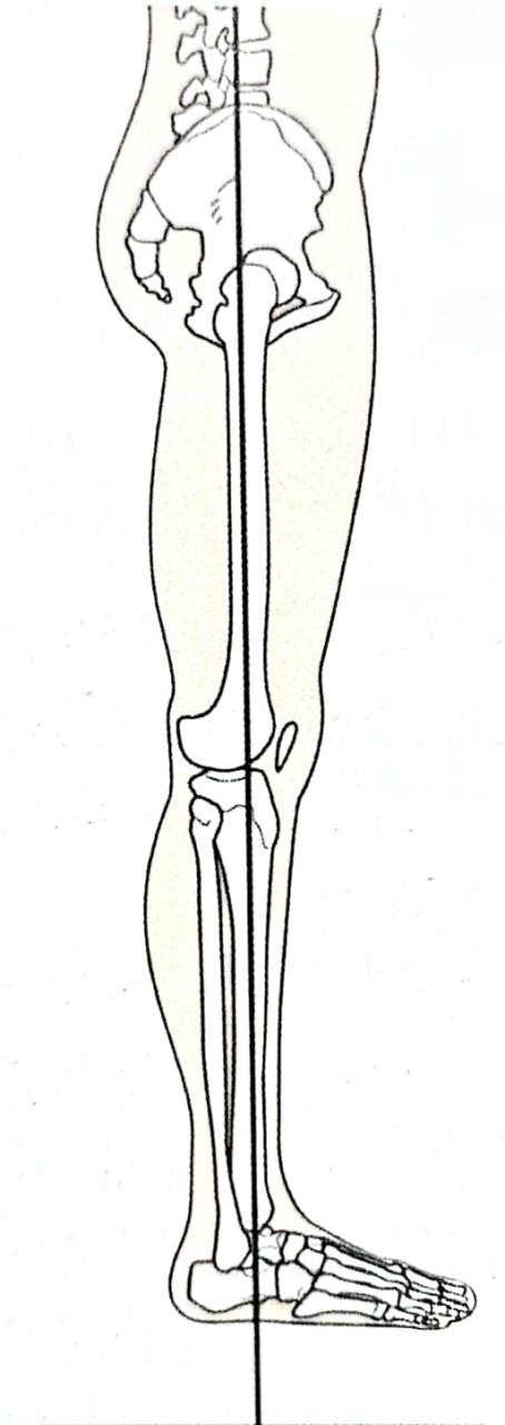 久坐后膝盖窝发软没力了怎么办,久坐膝盖无力站不起来