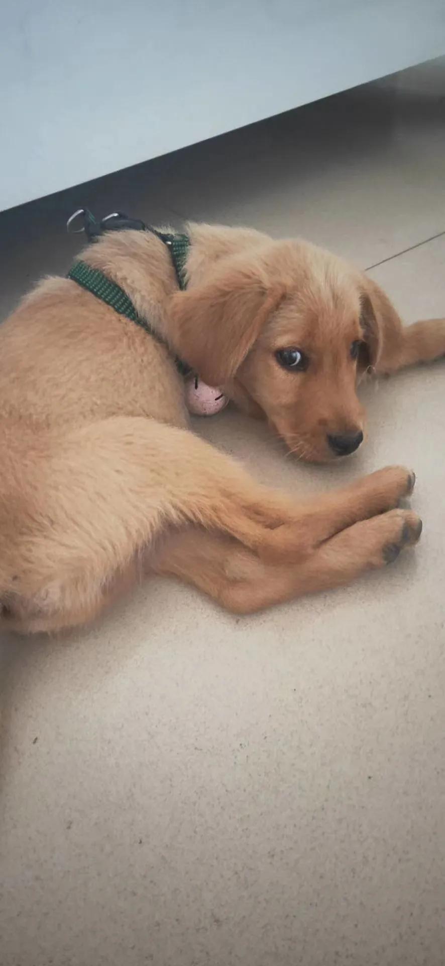 当他选择要放弃你的时候,当他选择抛弃你的那一刻