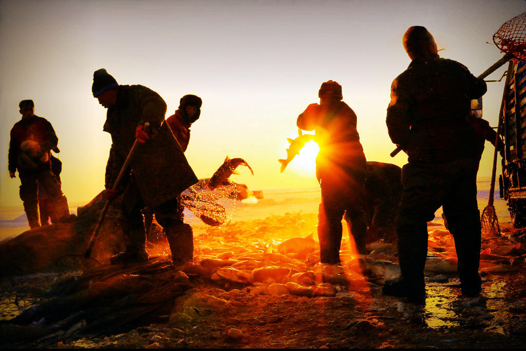 东北全鱼宴 (东北最正宗的全鱼宴)