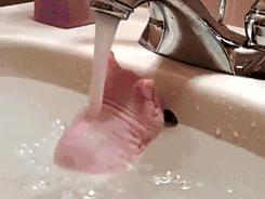 鼠年最稀有的老鼠,鼠年各种耗子大全