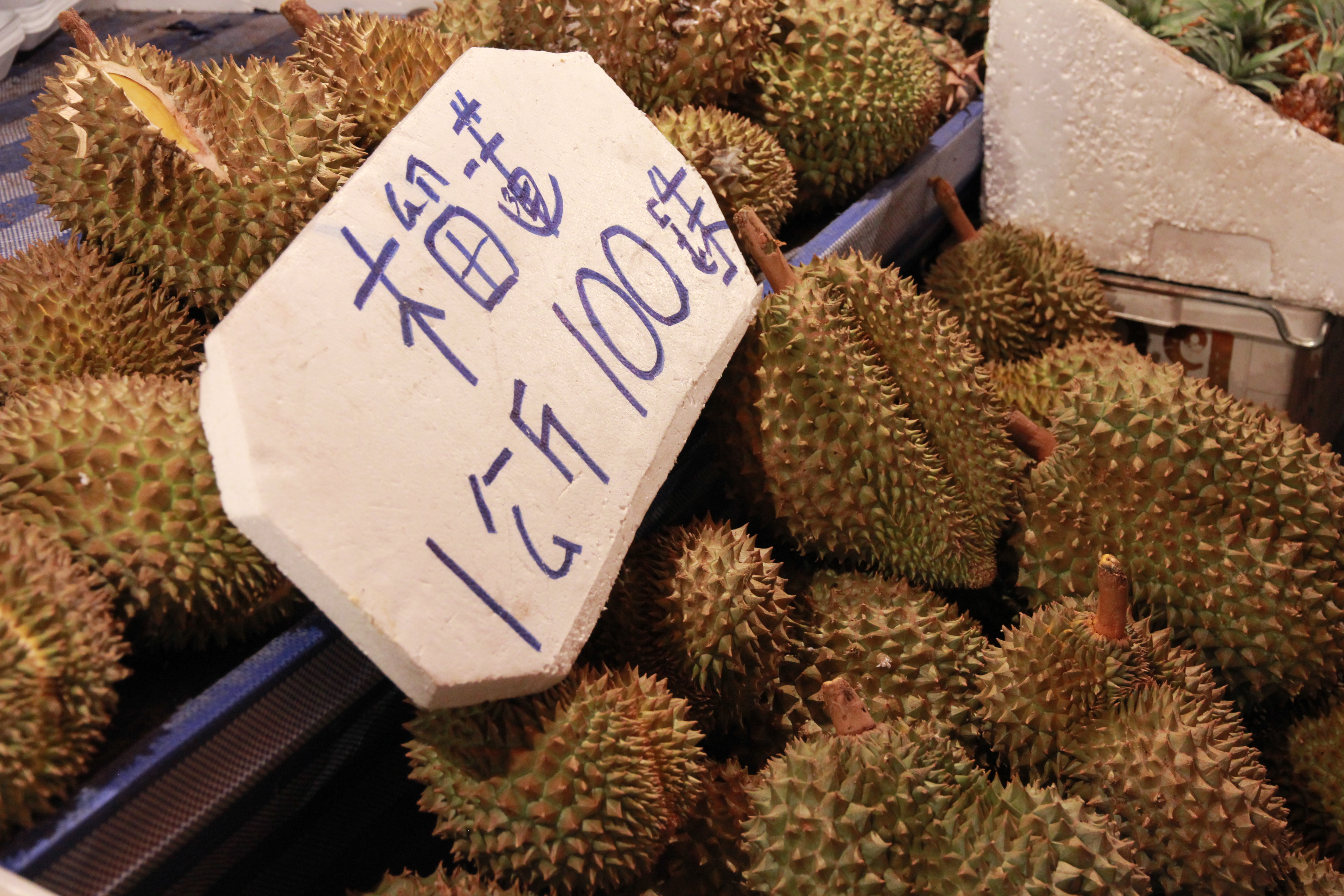 在普吉岛浮潜拍到的美妙海底世界 (普吉岛cape panwa hotel浮潜)