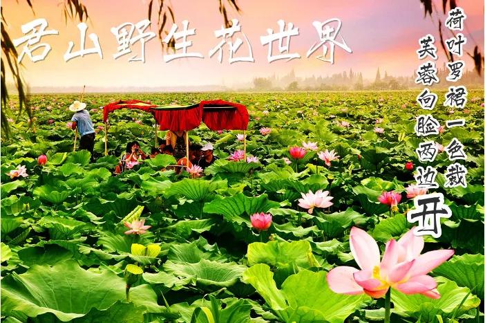 岳阳是湖南第二城市吗,岳阳第一大城市是哪里