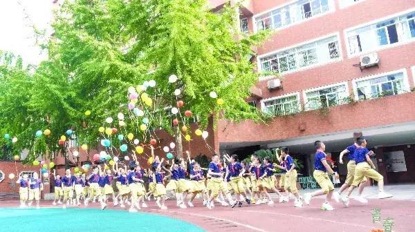 盐道街小学是五朵金花吗,五朵金花深度解析