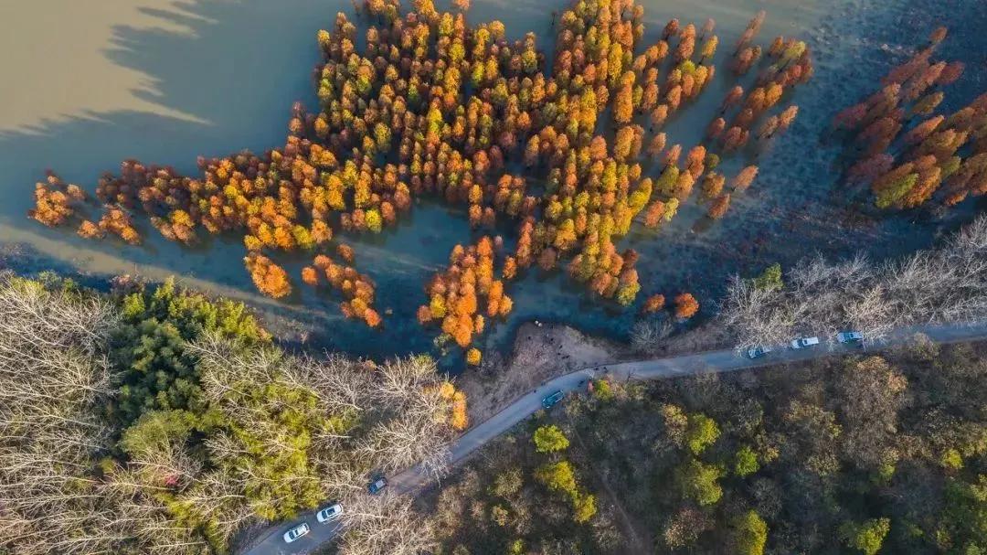 国内小众拍照胜地排名,文艺气息满溢的拍照圣地