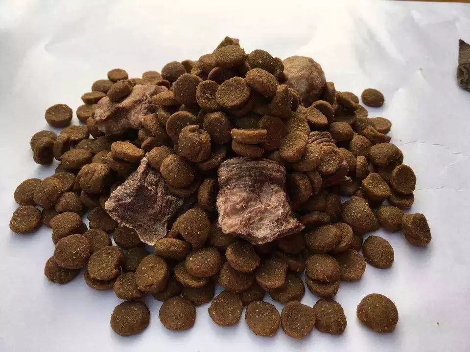 宠物饲料宠物食品,宠物食品需要了解什么