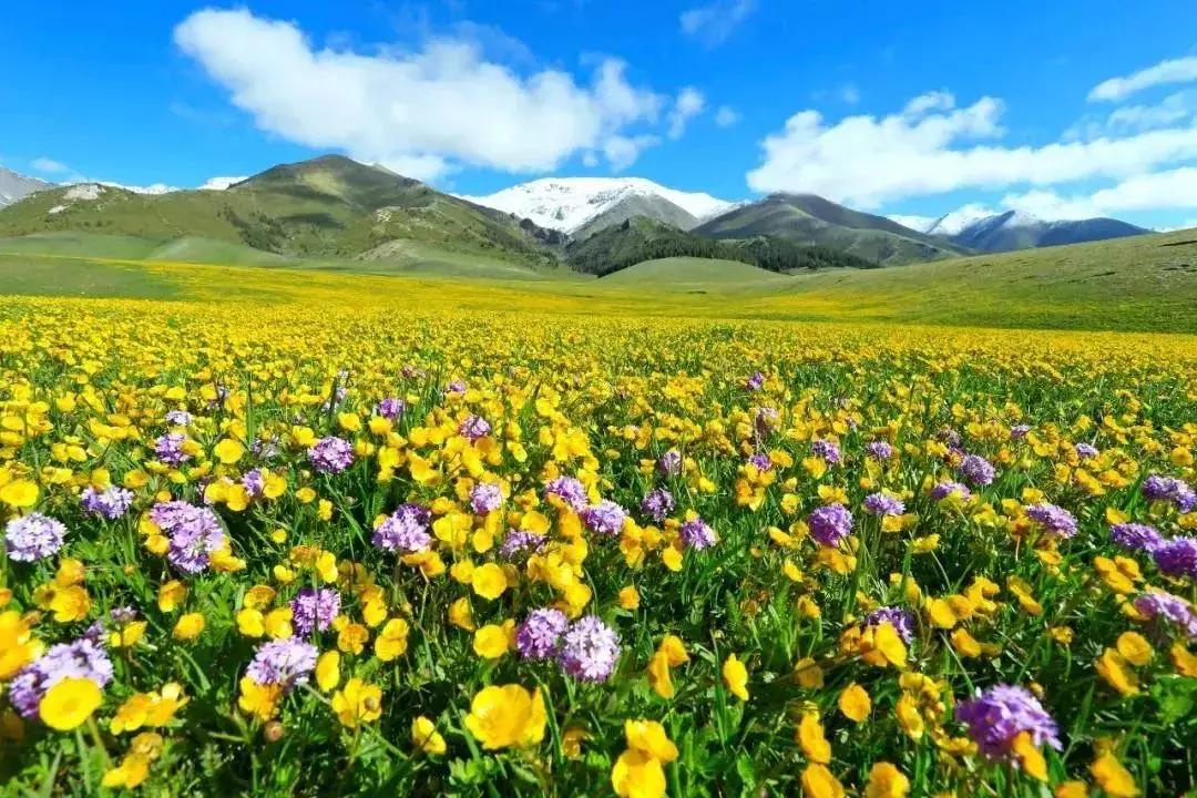 六月的新疆兵团,六月的新疆还有什么节日